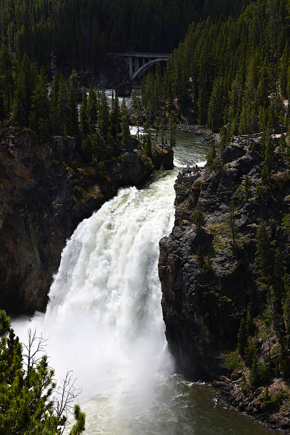 Yellowstone National Park Upper Falls of the Grand Canyon The Upper Falls of the Grand Canyon of Yellowstone is smaller than their lower counterpart. You can stand on the platform at the Brink of the Upper Falls and watch this 109-foot cascade of surging water.<br />
5N4A5006 Geotagged,Spring,United States,Waterfall,Yellowstone National Park;upper falls