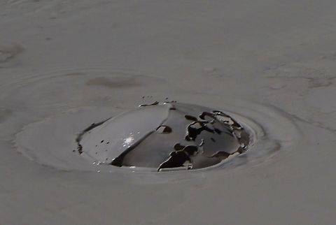 Mud pot bubble Like a big pot of boiling mush or porridge, one could watch this endless hypnotic bubbling. The different mud colors come from oxidation states of the iron in the mud. The heat in the caldera forces pressurized water up through the ground, and also gasses causing the bubbling action. In the early summer, the mud is watery from the high-water table due to rain and snow melt. By the end of summer, the mud is much thicker as the water table drops.
5N4A4976 Geotagged,Spring,United States