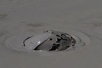 Mud pot bubble Like a big pot of boiling mush or porridge, one could watch this endless hypnotic bubbling. The different mud colors come from oxidation states of the iron in the mud. The heat in the caldera forces pressurized water up through the ground, and also gasses causing the bubbling action. In the early summer, the mud is watery from the high-water table due to rain and snow melt. By the end of summer, the mud is much thicker as the water table drops.<br />
5N4A4976 Geotagged,Spring,United States