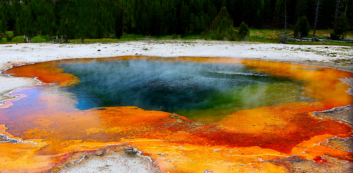 Emerald Pool Hot Springs, Yellowstone The bright colors found in Yellowstone&#039;s hot springs come from thermophiles&mdash;microorganisms that thrive in hot temperatures. So many thermophiles are grouped together&mdash;trillions!&mdash;that they appear as masses of color and can form algae-like mats.<br />
<br />
Different types of thermophiles live at different temperatures within a hot spring and cannot tolerate much cooler or warmer conditions. Yellowstone&#039;s hot water systems often show different color gradations of living, vibrant colors where the temperature limit of one group of microbes is reached, only to be replaced by a different set of thermophiles.<br />
<br />
Two common bacteria, Phormidium and Oscillatoria, contribute to the orange color.<br />
Carotenoids: The orange hue comes from carotenoid pigments produced by these bacteria. Carotenoids serve as a natural sunscreen, shielding the microbes from the intense sunlight in Yellowstone&rsquo;s summer.<br />
5N4A3771 Emerald Pool,Geotagged,Spring,United States,Yellowstone,hot springs