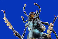 Ground beetle or Carabus ulrichii ventral view showing foot pads From a collection. Native to Ukraine<br />
4x, 43micron at 145 steps Carabus ulrichii,Geotagged,Summer,United States