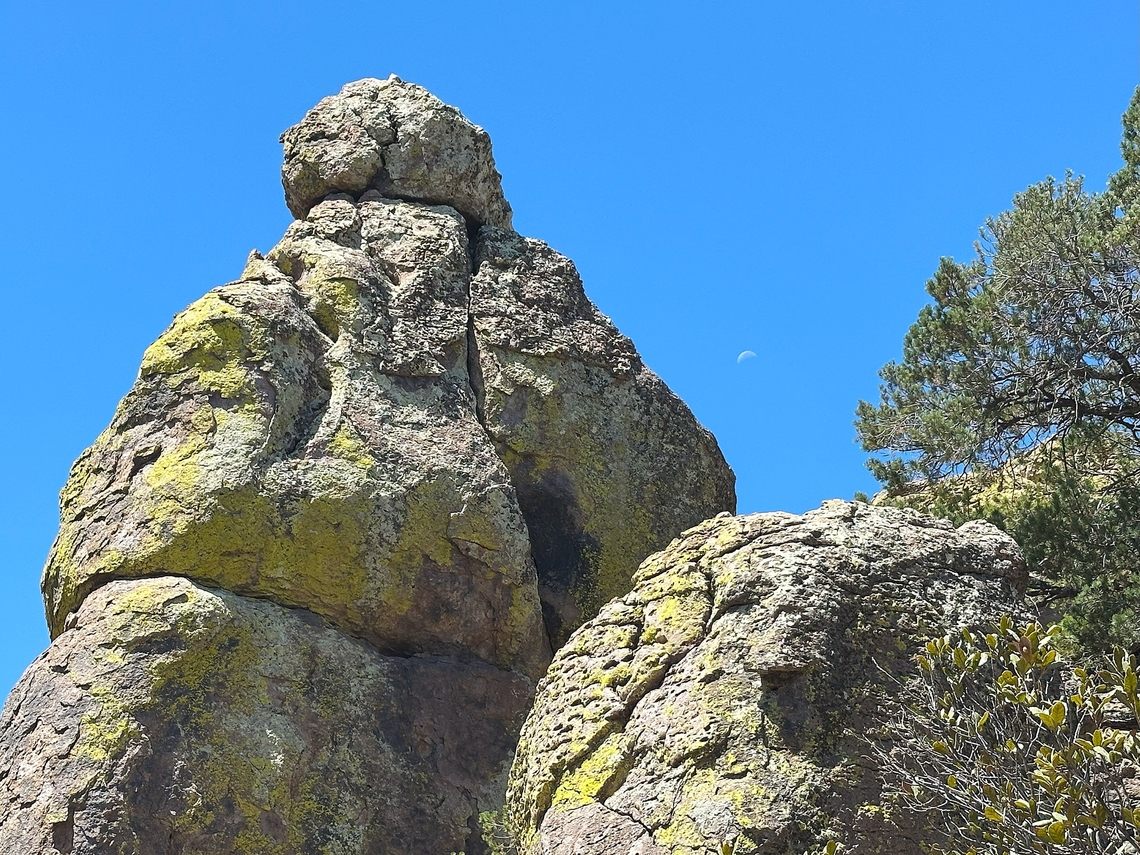Chiricahua Hoodoos with moon Hoodoos are tall, thin spires of rock that rise from the ground, often in bizarre and gravity-defying shapes. The hoodoos in Chiricahua are particularly famous for their dense clusters, strange formations, and delicate balance, earning the area the nickname "The Wonderland of Rocks."<br />
<br />
<figure class="photo"><a href="https://www.jungledragon.com/image/169107/chiricahua_hoodoos.html" title="Chiricahua Hoodoos"><img src="https://s3.amazonaws.com/media.jungledragon.com/images/5803/169107_thumb.jpg?AWSAccessKeyId=05GMT0V3GWVNE7GGM1R2&Expires=1770854410&Signature=09WEami%2FIqcliGf4%2BkDWO3ea8eo%3D" width="200" height="118" alt="Chiricahua Hoodoos  Geotagged,United States" /></a></figure><br />
<figure class="photo"><a href="https://www.jungledragon.com/image/169108/chiricahua_hoodoos.html" title="Chiricahua Hoodoos"><img src="https://s3.amazonaws.com/media.jungledragon.com/images/5803/169108_thumb.jpg?AWSAccessKeyId=05GMT0V3GWVNE7GGM1R2&Expires=1770854410&Signature=iA20fae0fORhVp1IN7jkaaCrP%2FM%3D" width="200" height="152" alt="Chiricahua Hoodoos Echo Canyon Geotagged,United States" /></a></figure><br />
<figure class="photo"><a href="https://www.jungledragon.com/image/169109/chiricahua_hoodoos.html" title="Chiricahua Hoodoos"><img src="https://s3.amazonaws.com/media.jungledragon.com/images/5803/169109_thumb.jpg?AWSAccessKeyId=05GMT0V3GWVNE7GGM1R2&Expires=1770854410&Signature=5%2BsydMFMwiVle811UzFTcNTBKys%3D" width="200" height="46" alt="Chiricahua Hoodoos  Geotagged,United States" /></a></figure><br />
<figure class="photo"><a href="https://www.jungledragon.com/image/169110/chiricahua_hoodoo.html" title="Chiricahua Hoodoo"><img src="https://s3.amazonaws.com/media.jungledragon.com/images/5803/169110_thumb.jpg?AWSAccessKeyId=05GMT0V3GWVNE7GGM1R2&Expires=1770854410&Signature=n99bO6fWxlkBgMSgpt477ytqwHM%3D" width="200" height="150" alt="Chiricahua Hoodoo Echo Canyon Grotto Geotagged,United States" /></a></figure><br />
<figure class="photo"><a href="https://www.jungledragon.com/image/169106/chiricahua_hoodoos.html" title="Chiricahua Hoodoos"><img src="https://s3.amazonaws.com/media.jungledragon.com/images/5803/169106_thumb.jpg?AWSAccessKeyId=05GMT0V3GWVNE7GGM1R2&Expires=1770854410&Signature=kjMtUMHoPyAcWkFo8Z4PYycPfro%3D" width="200" height="150" alt="Chiricahua Hoodoos  Geotagged,United States" /></a></figure> Geotagged,United States