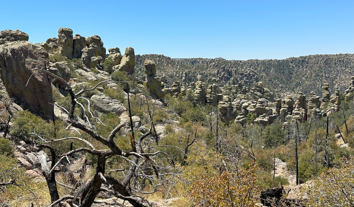 Chiricahua Hoodoos  Geotagged,United States
