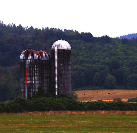 Landscape near Mount Rainier Washington  Geotagged,United States