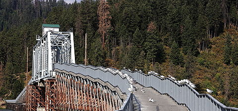 1921 Trail-UP Chatcolet Bridge over Lake Coeur D'Alene near Harrison, ID The seagulls think this is their personal perch. Until the bicyclists come by.
https://www.jungledragon.com/image/171215/1921_trailup_chatcolet_bridge_over_lake_coeur_dalene_near_harrison_id.html
If you look closely, on the upper left corner of the bridge you can see an Osprey who is nesting.

https://www.jungledragon.com/image/171086/osprey_or_pandion_haliaetus.html Geotagged,Summer,United States