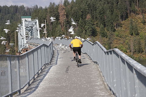 1921 TrailUP Chatcolet Bridge over Lake Coeur DAlene near Harrison, ID Until the bicyclists come by.