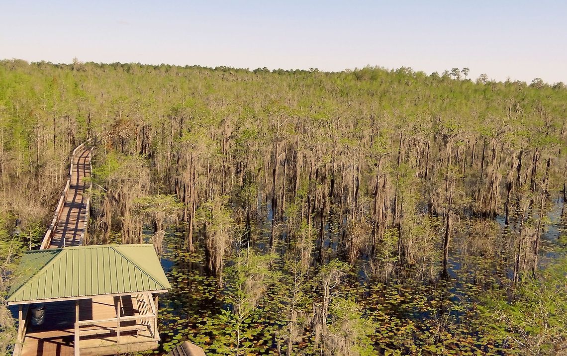 Grand Bay Wetlands  United States,Wetlands