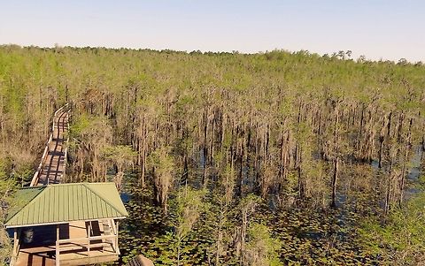 Grand Bay Wetlands  United States,Wetlands