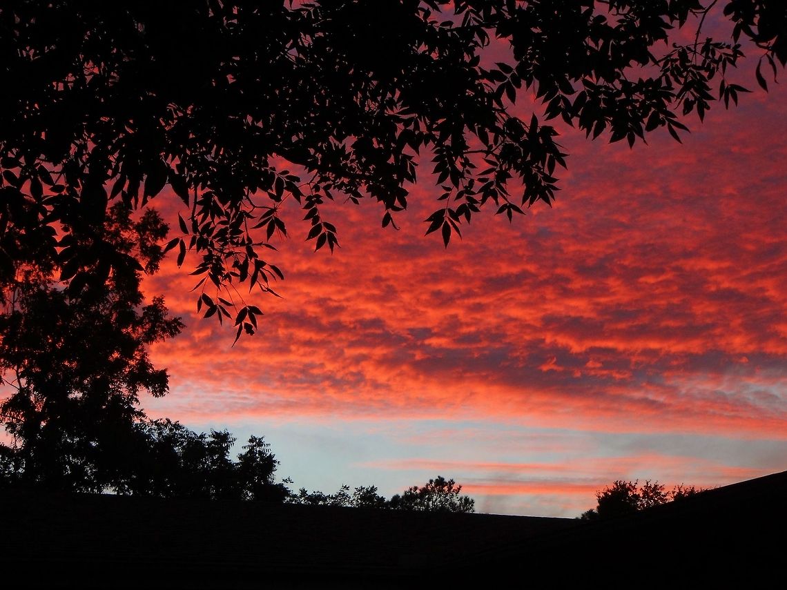 Pretty sky!  sunset
