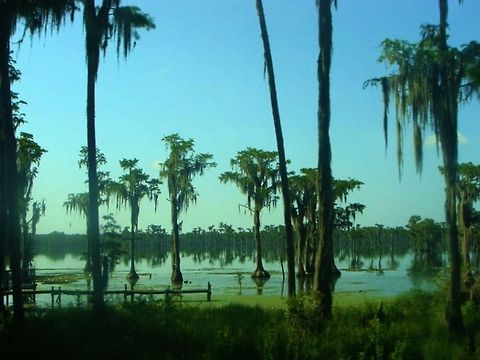 Scenery Driving by Banks Lake in Georgia.