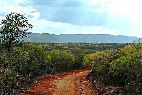 Rainy weather! When it rains in the Caatinga.
https://en.m.wikipedia.org/wiki/Caatinga Caatinga,Green,Landscapes