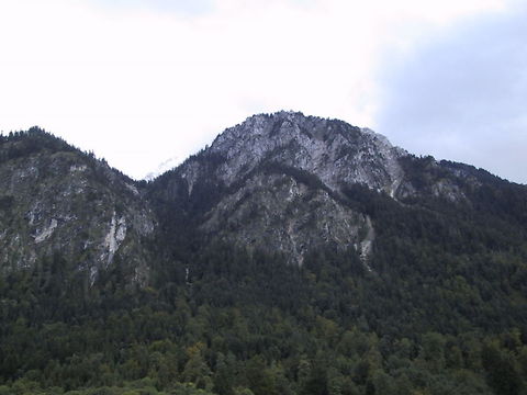 Bavarian Mountain You can't beat the beauty of Mountains. Bavaria,Forest,Mountains