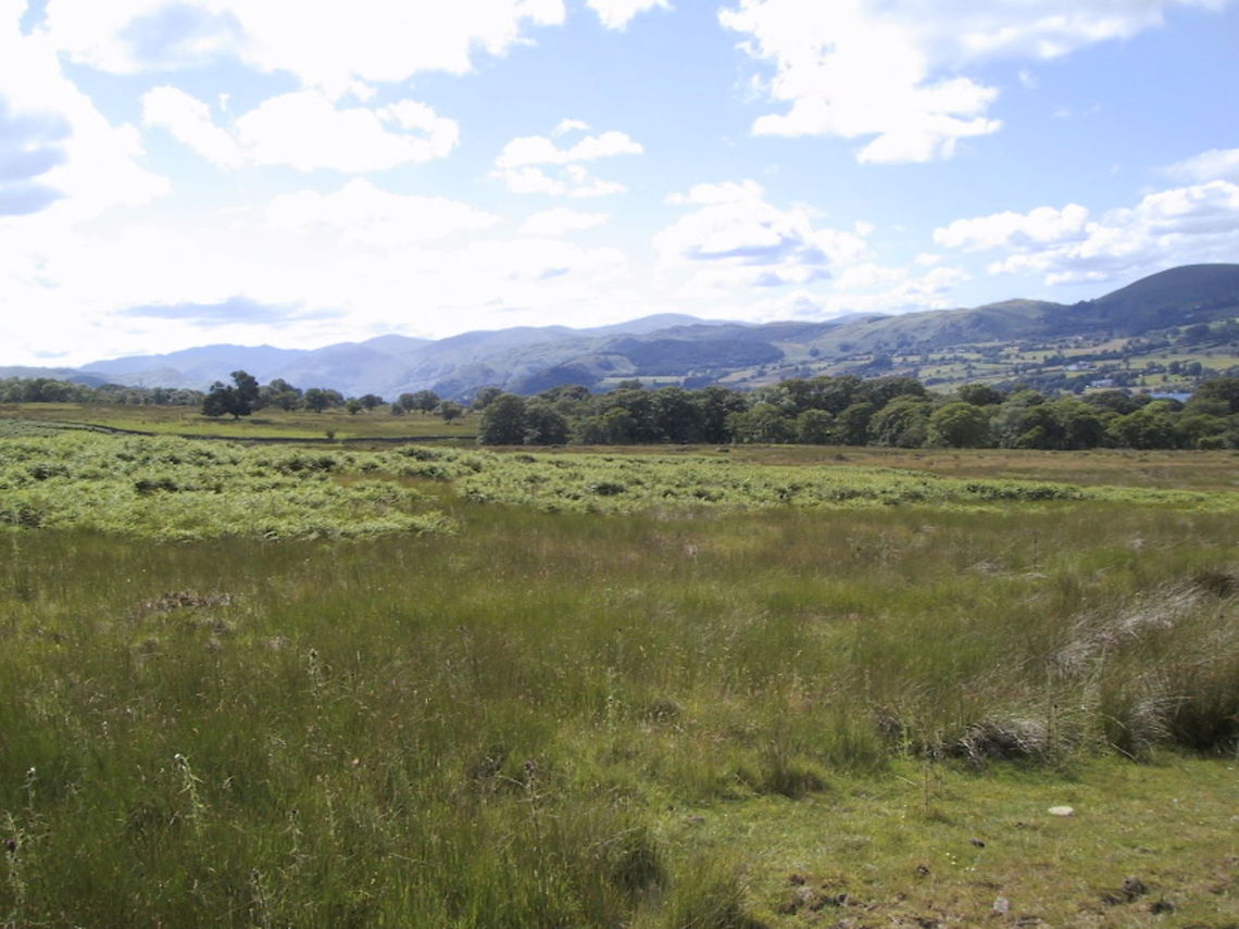 Moorland Moorland above Coniston Water, Lake District Lake District,Moorland