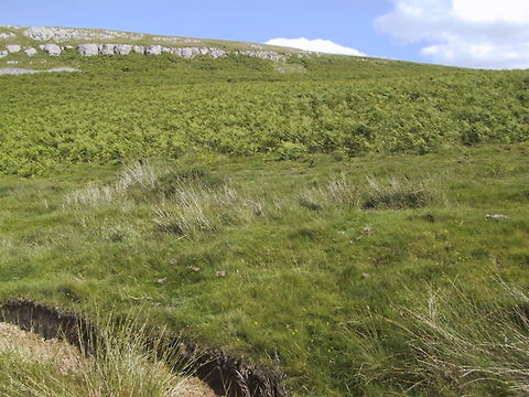 Moorland Moorland above Coniston Water, Lake District. It's a rough country. Lake District,Moorland