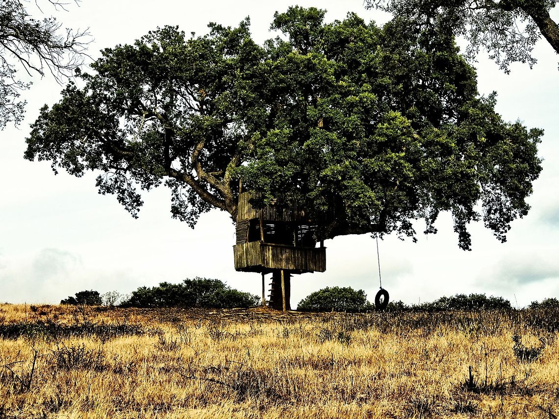 Treehouse  Geotagged,Portugal,Treehouse,nature