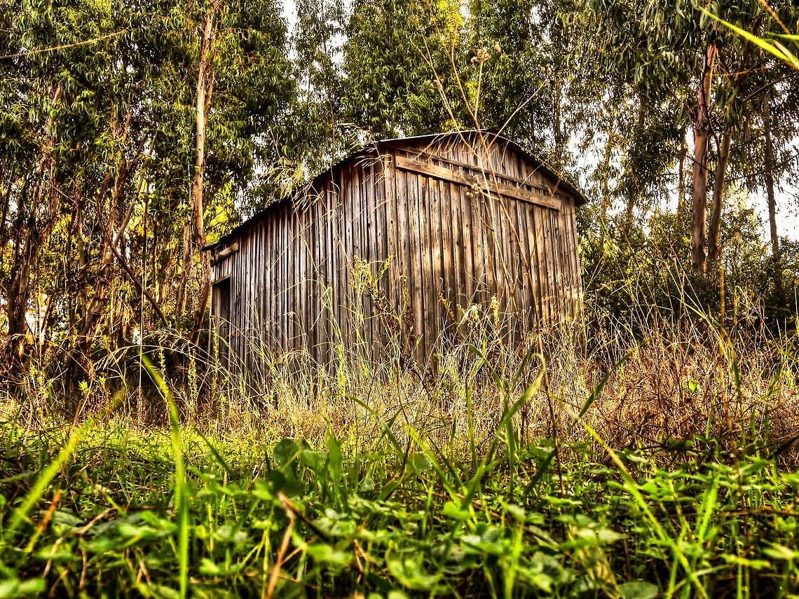 Wooden Shack  Geotagged,Portugal,nature