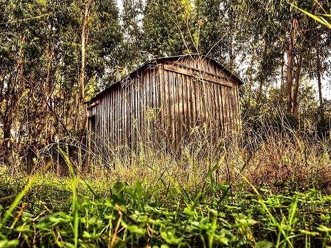 Wooden Shack  Geotagged,Portugal,nature