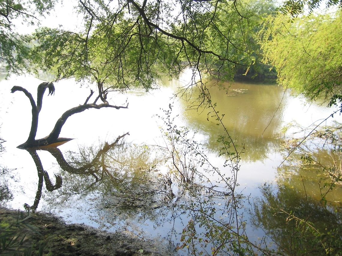 Reflections