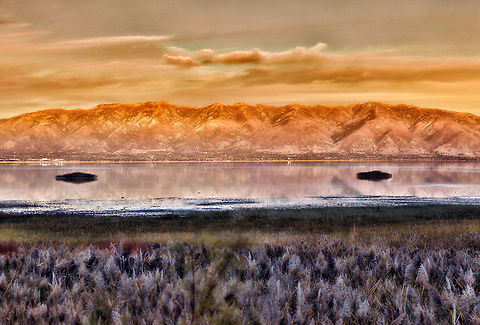 Antelope_Island Antelope Island  - Utah United States,sunset,utah