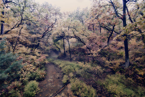 Colors of Autumn Walking thru Starved Rock State Park. Illinois,United States