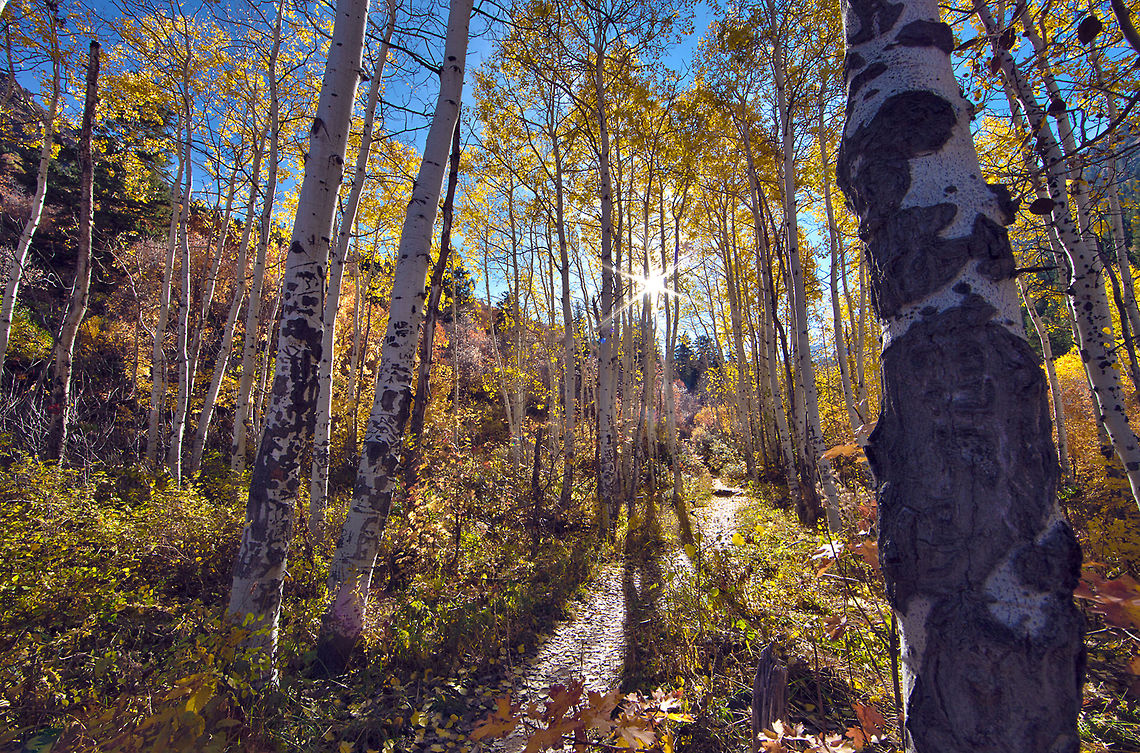 Lake_Blanche Scenic hike to Lake Blanche - Utah forest,united states,utah