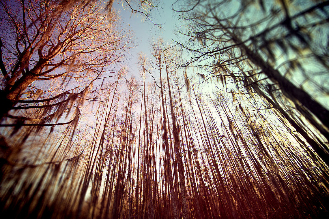 Snap From a Swamp Enjoying a swamp tour in NOLA.