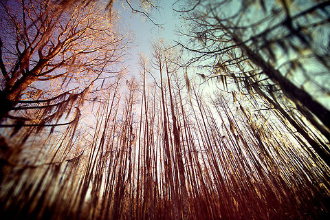 Snap From a Swamp Enjoying a swamp tour in NOLA.