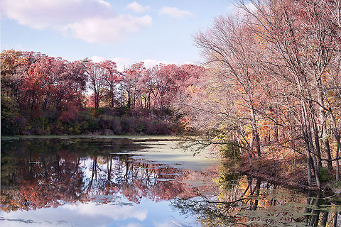 Matthiessen State Park Treasure from todays hike. autumn