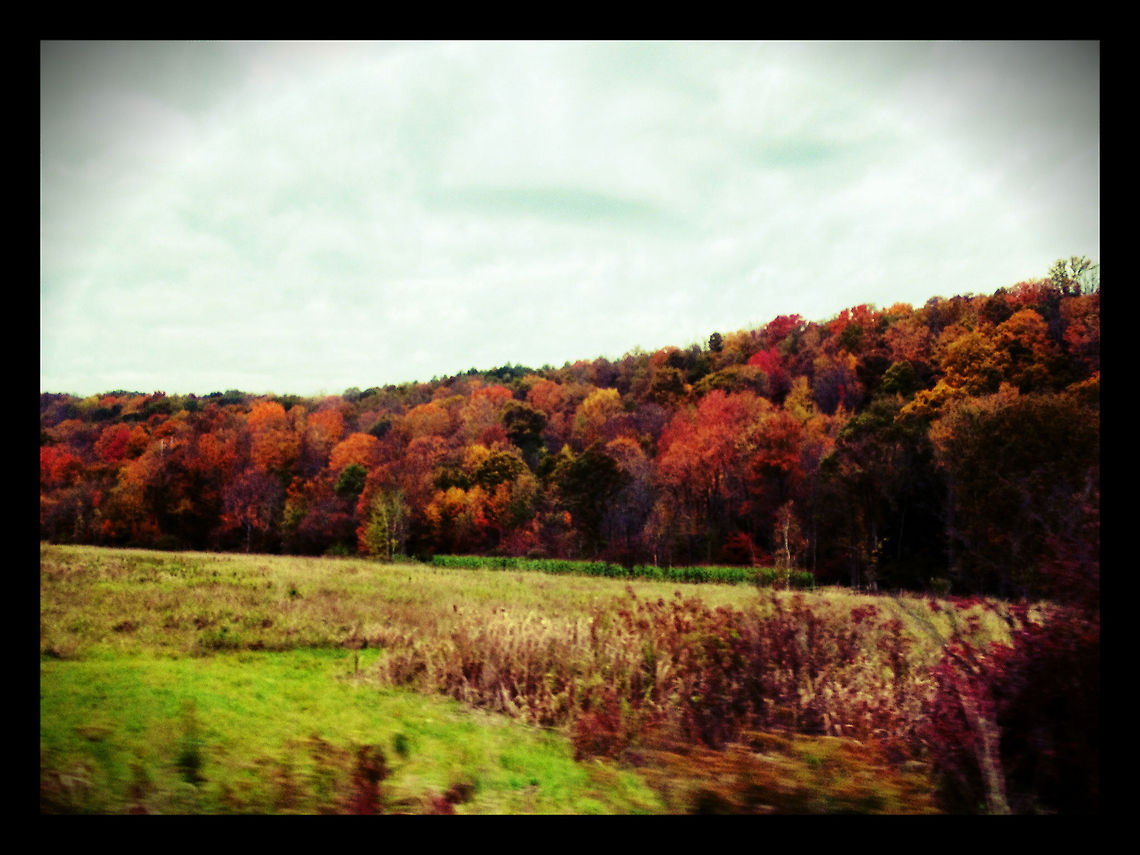 autumn2012_2  Geotagged,United States