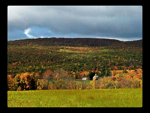 fall1  Geotagged,United States