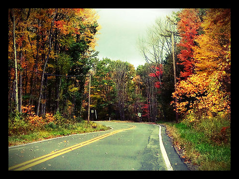 Fall_8  Geotagged,United States