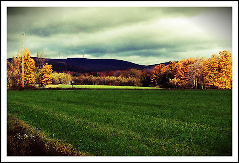 fall7  Geotagged,United States