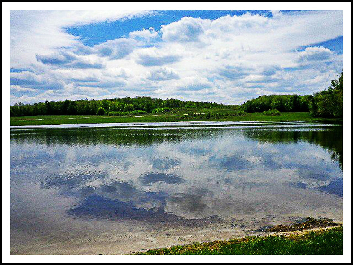 SpringHill1  Geotagged,United States