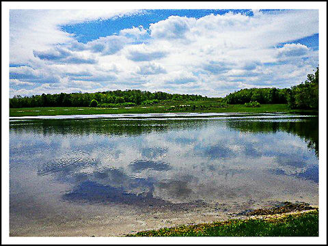 SpringHill1  Geotagged,United States