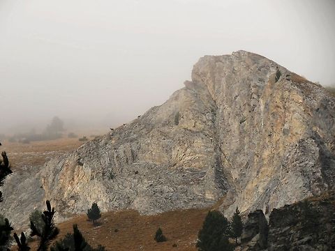 Balkan chamois 1 Balkan chamois (Rupicapra rupicapra ssp. balcanica) - An overview of the hill they were climbing and the distance we were at. Bulgaria,Chamois,Geotagged,Rupicapra rupicapra,Rupicapra rupicapra balcanica