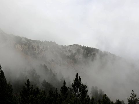 Lost in the clouds The chamois disappeared in the clouds. Bulgaria,Geotagged