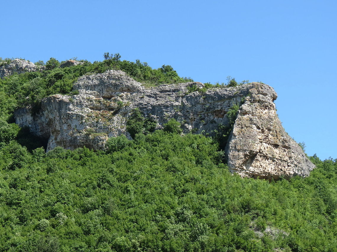 Griffon Vultures rock On the right side of the rock you can see several rows of carved Thracian trapezoidal niches. There are several smaller birds nests in that part.<br />
<figure class="photo"><a href="https://www.jungledragon.com/image/10946/griffon_vultures_company.html" title="Griffon Vultures company"><img src="https://s3.amazonaws.com/media.jungledragon.com/images/651/10946_thumb.JPG?AWSAccessKeyId=05GMT0V3GWVNE7GGM1R2&Expires=1767225610&Signature=3e06AROMU9dSHBNIzhKSPEX8WTA%3D" width="200" height="150" alt="Griffon Vultures company  Bulgaria,Geotagged,Griffon Vulture,Gyps fulvus" /></a></figure><br />
<figure class="photo"><a href="https://www.jungledragon.com/image/10945/griffon_vultures_company.html" title="Griffon Vultures company"><img src="https://s3.amazonaws.com/media.jungledragon.com/images/651/10945_thumb.JPG?AWSAccessKeyId=05GMT0V3GWVNE7GGM1R2&Expires=1767225610&Signature=Wh4cGnQlS1F4sGuYDhtbdASAEt8%3D" width="200" height="150" alt="Griffon Vultures company How many Griffon vultures do you see?<br />
Griffon vultures close-up<br />
http://www.jungledragon.com/image/10944/griffon_vultures_close-up.html Bulgaria,Geotagged,Griffon Vulture,Gyps fulvus" /></a></figure> Bulgaria,Geotagged,Griffon Vulture,Gyps fulvus