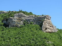 Griffon Vultures rock On the right side of the rock you can see several rows of carved Thracian trapezoidal niches. There are several smaller birds nests in that part.<br />
http://www.jungledragon.com/image/10946/griffon_vultures_company.html<br />
http://www.jungledragon.com/image/10945/griffon_vultures_company.html Bulgaria,Geotagged,Griffon Vulture,Gyps fulvus