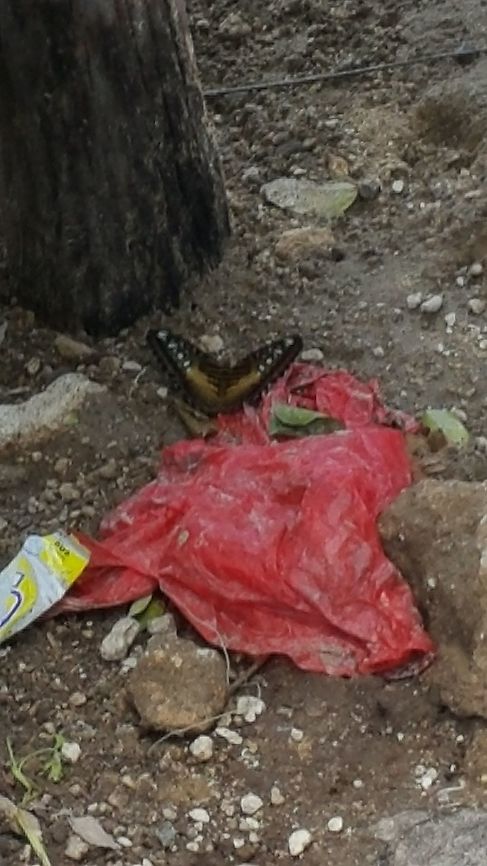 pic_galaxy_bandung_april_sulawesi_jakarta_lands_kamenti_2016_343_-_Copy