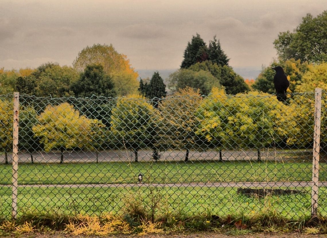 wistful  Geotagged,United Kingdom