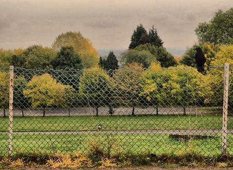 wistful  Geotagged,United Kingdom