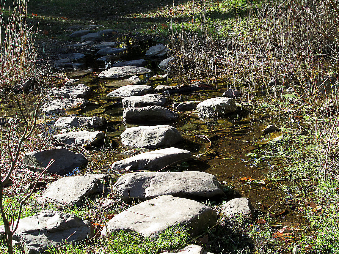 Stepstones in the water                                 Geotagged,The Netherlands
