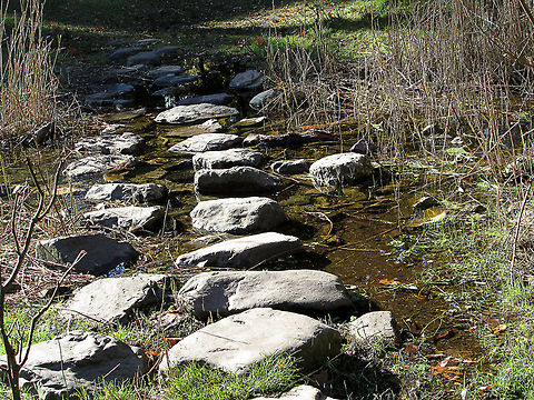 Stepstones in the water                                 Geotagged,The Netherlands