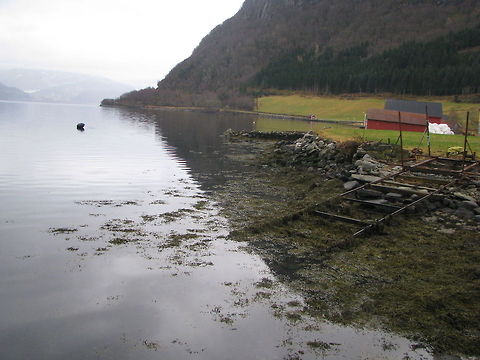 Nordfjord, Norway  Geotagged,Norway