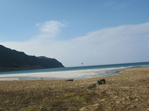 Refvik beach, Norway Located in Sogn og Fjordane county, Norway. Atlantic Ocean,Beach,Geotagged,Norway,Refvik beach