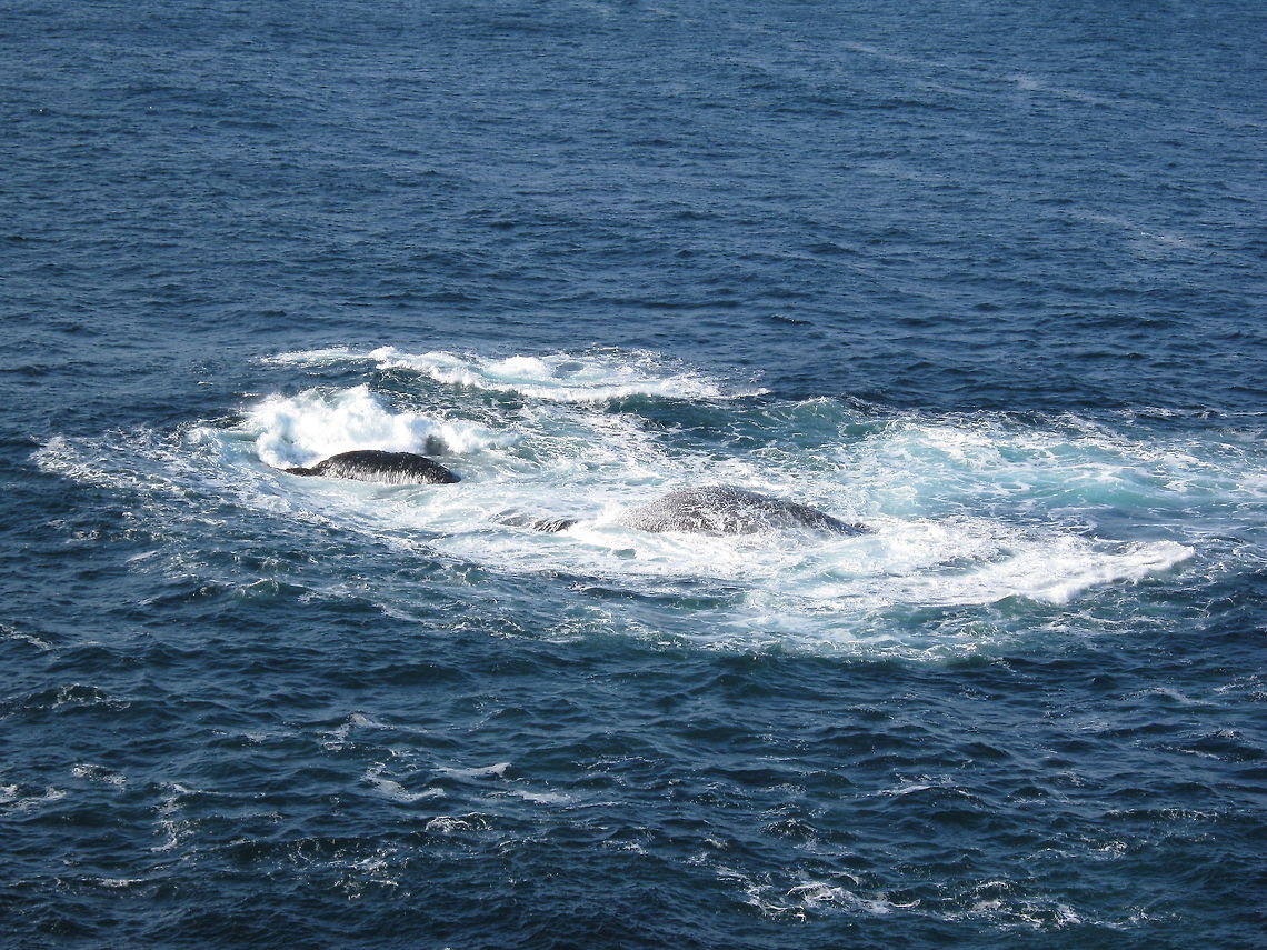 Waves crashing against the rocks This picture is taken from Kr&aring;kenes lighthouse, located at the island V&aring;gs&oslash;y, in Sogn og Fjordane county, Norway. Atlantic Ocean,Geotagged,Kr&aring;kenes lighthouse,Norway