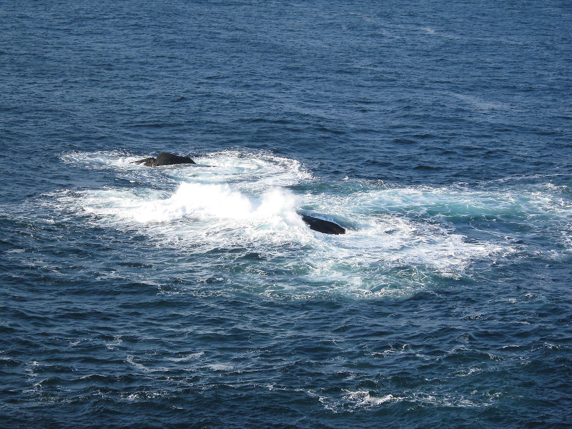 Stunning ocean This picture is taken from Kr&aring;kenes lighthouse, located at the island V&aring;gs&oslash;y, in Sogn og Fjordane county, Norway. Atlantic Ocean,Geotagged,Kr&aring;kenes lighthouse,Norway,Waves