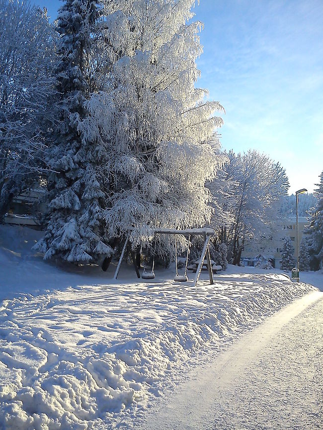 Snow in sunlight  Geotagged,Norway,frost,snow,winter