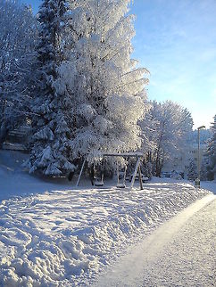 Snow in sunlight  Geotagged,Norway,frost,snow,winter
