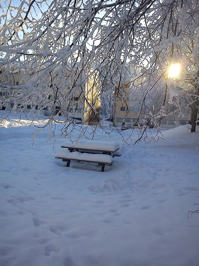 Winter paradise  Geotagged,Norway,frost,snow,winter